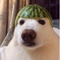 MELON币