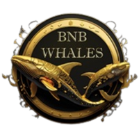 BNB WHALES币